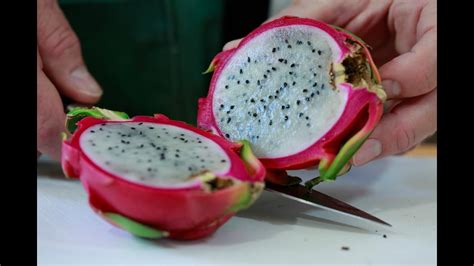Learn the visual, tactile, and aromatic indicators of ripeness for dragon fruit, also known as pitaya. Find out how to harvest, store, and use ripe dragon fruit in …